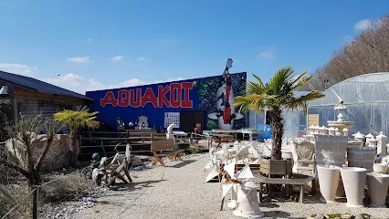 Image de Aqua Koï